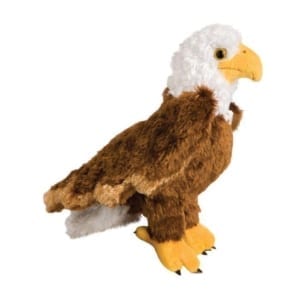 douglas-toys-colbert-eagle-borrego-outfitters