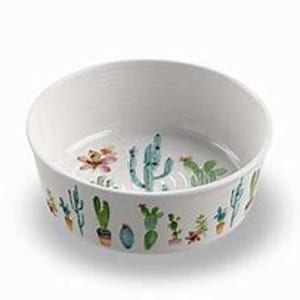 TarHong Melamine Cactus Pet Bowl Medium Borrego Outfitters