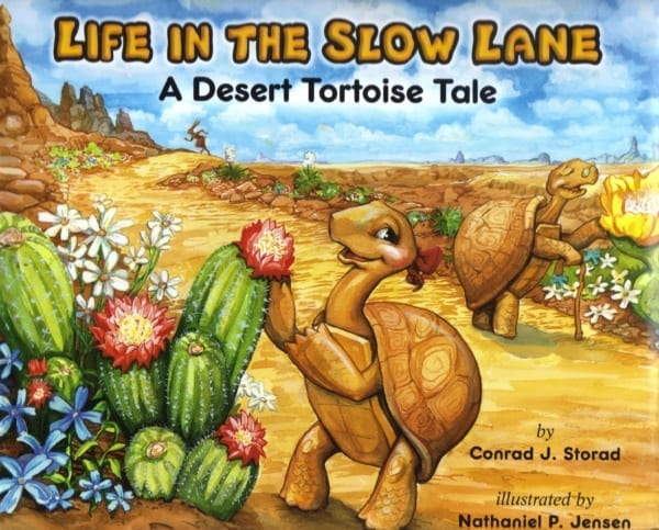 Sunbelt Publications Life in the Slow Lane a Desert Tortoise Tale Borrego Outfitters