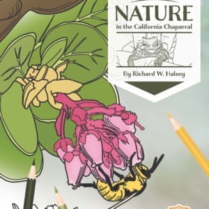Sunbelt Publications Coloring Book Nature of the California Chaparral Borrego Outiftters