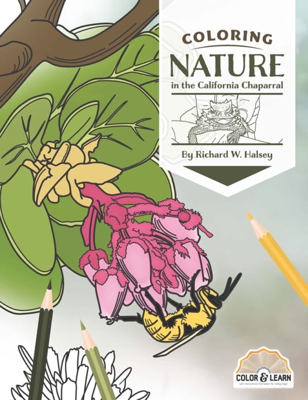 Sunbelt Publications Coloring Book Nature of the California Chaparral Borrego Outiftters