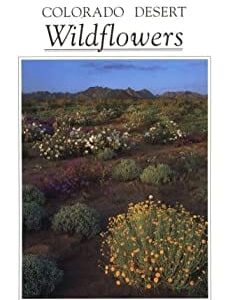 Sunbelt Publications Colorado Desert Wildflowers Borrego Outfitters