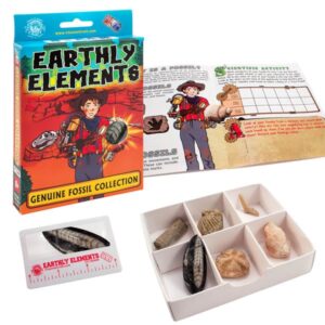 Channel Craft Earthly Elements Prehistoric Fossil Collection Borrego Outfitters