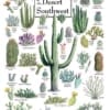 Leanin-Tree-puzzle-cacti-of-the-desert-southwest-Borrego-Outfitters