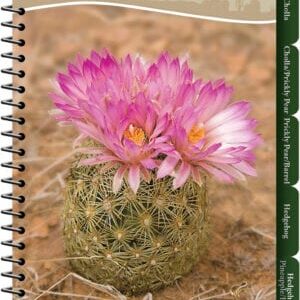Adventurekeen Cactus of the Southwest Quick Guide Borrego Outfitters