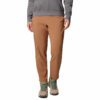 All Seasons Pull On Pant Camel Brown 2086131 224.jpg