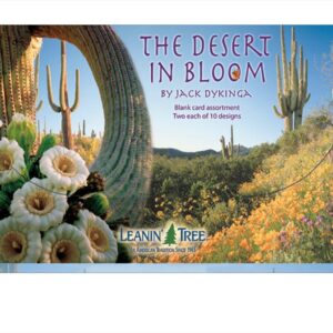 Assorted Blank Notecards Desert In Bloom.jpg