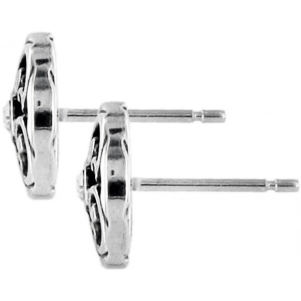 Betsey Post Earrings J20822 1.jpg