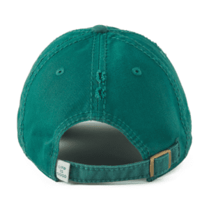Bike More Worry Less Sunwashed Chill Cap 108443 Spruce Green 1.png
