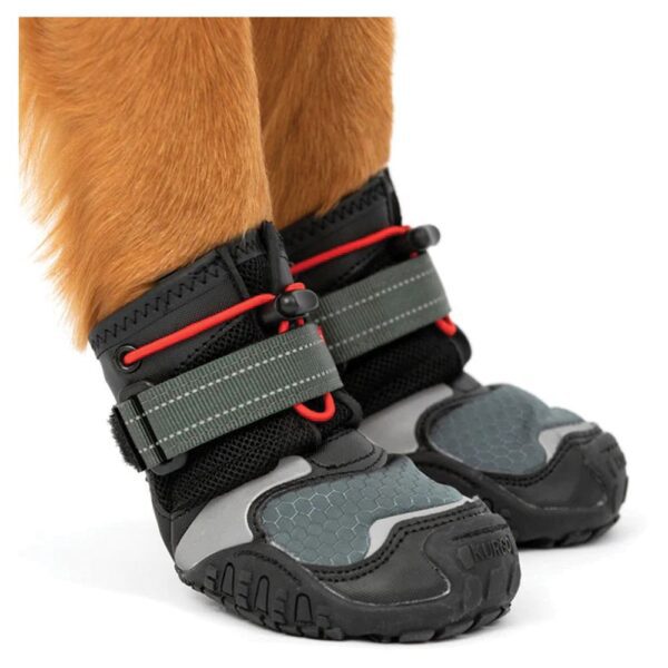 Blaze Dog Boot 2 Pack 500544 2.jpg