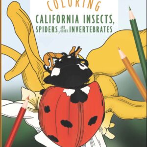 Coloring Book California Insects Spiders Invertebrates.jpg