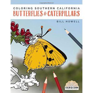 Coloring Book Southern California Butterflies Caterpillars.jpg