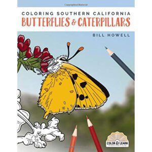 Coloring Book Southern California Butterflies Caterpillars.jpg