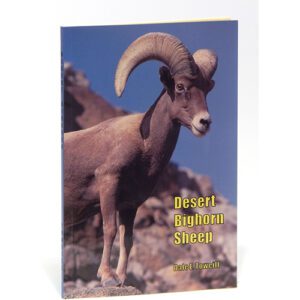 Desert Bighorn Sheep Dale Towell.jpg