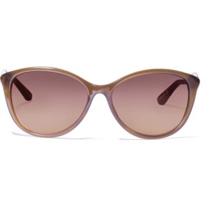 Ferrara Sunglasses A12622 Brown Ferrara 213