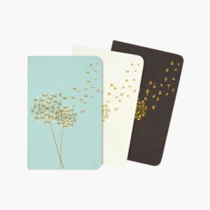 Jotter Mini Notebook Set Dandelion Wishes 9781441326676.jpg