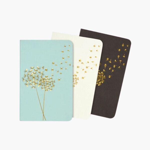 Jotter Mini Notebook Set Dandelion Wishes 9781441326676.jpg