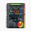 Scratch Sketch Reptiles Amphibians 9781441341310.jpg