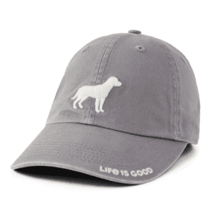 Stay True Dog Chill Cap 98703 Slate Grey.png