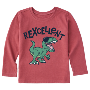 Toddler Rexcellent Long Sleeve Crusher Tee 99561 Faded Red.png