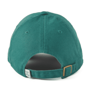 Tribal Mountain Chill Cap 108398 Spruce Green 1.png