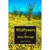 Wildflowers Of Anza Borrego Desert.jpg