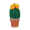 Dzi Handmade Barrel Crochet Cactus 471388000 Borrego Outfitters 1.jpg