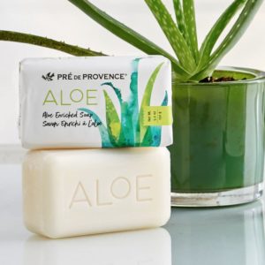 European Soaps Aloe Enriched Soap Borrego Outfitters