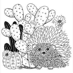 Peter Pauper Press Coloring Book Succulents 12068.1 Borrego Outfitters
