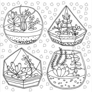 Peter Pauper Press Coloring Book Succulents 12068.2 Borrego Outfitters