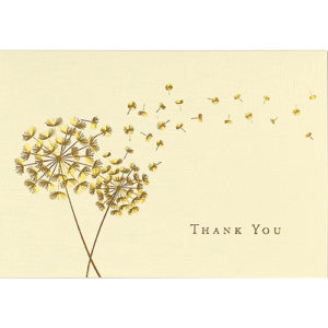 Peter Pauper Press Notecards Dandelion Wishes Thank You 12607 Borrego Outfitters