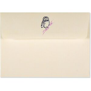 peter-pauper-press-Notecards-Owl-Portrait_34688-borrego-outfitters