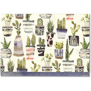 Peter Pauper Press Notecards Watercolor Succulents 34687 Borrego Outfitters