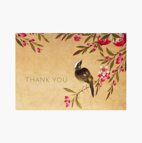Peter Pauper Press Peach Blossoms Thank You Note Cards.1 Borrego Outfitters
