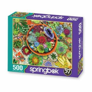 Springbok Succulent Garden 500 Piece Puzzle 2645 Borrego Outfitters