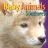 Treasure Chest Books Baby Animals Of The Southwest 16574 Borrego Outfitters