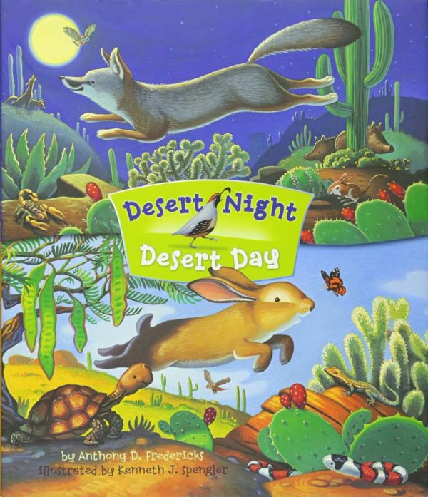Treasure Chest Books Desert Night Desert Day 16788 Borrego Outfitters