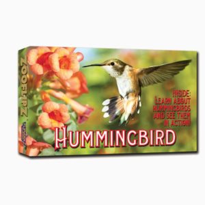 Treasure Chest Books Zooflipz Hummingbird 73933 Borrego Outfitters