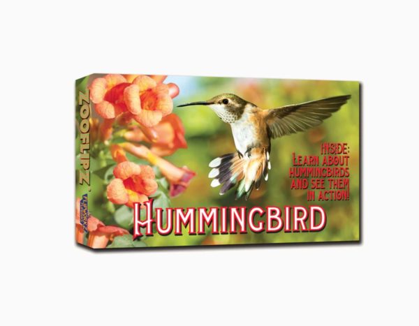 Treasure Chest Books Zooflipz Hummingbird 73933 Borrego Outfitters
