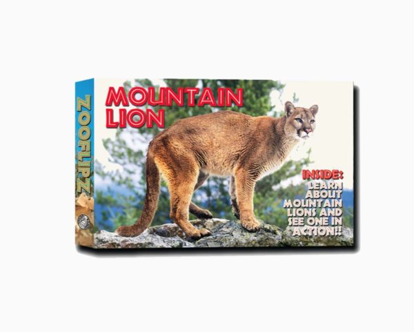 Treasure Chest Books Zooflipz Mountain Lion 73935 Borrego Outfitters