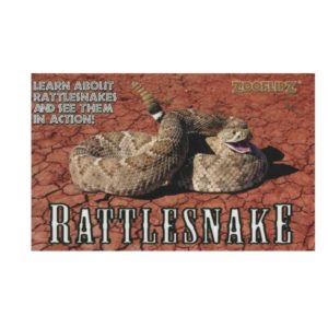 Treasure Chest Books Zooflipz Rattlesnake 11049 Borrego Outfitters