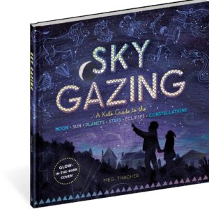 Workman Publishing Sky Gazing Borrego Outfitters