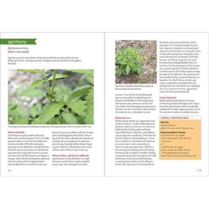 Workman Publishing Southwest Medicinal Plants 73930.1 Borrego Outfitters